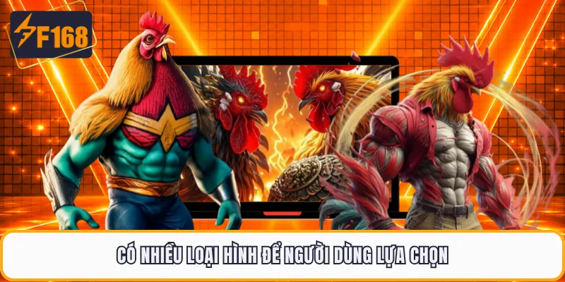 Có nhiều loại hình để người dùng lựa chọn